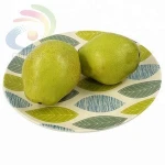 Eco bamboo fiber picnic plate bamboo fiber serving trays for kids with customized design
