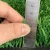 Import ECO friendly 35mm cheap plastic carpet grass turf cesped artificial pared from China