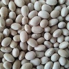 Egyptian price of white kidney beans