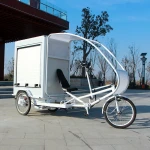 electric bicycle cargo bike adults electric tricycle