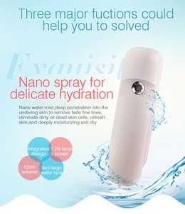 Electric Facial Steamer / Rechargeable Mist Sprayer / Nano Mister