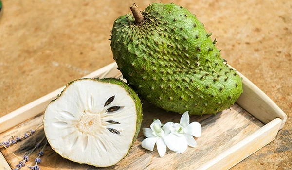 Elongated Frozen Soursop Fruit Fresh With Wind Freezing System And Soil-Less Cultivation