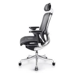 Ergonomic mesh chairs China mesh chairs adjustable back office chairs