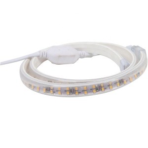 Exterior outdoor IP65 Waterproof LED Strip 2835 5050 5730SMD 12V 24V 110V 220V CE Bar Flexible Light Led Tape Rope Light