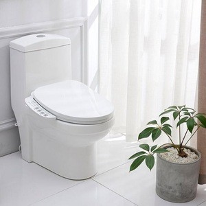 F1M525  Smart Bidet Seat Toilet Cover Self Cleaning Toilet Bidet Factory price