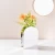 Import Factory Hot Sale Creative Gift Decorative Acrylic Colorful Transparent Vase for Decoration from China