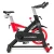 Import Factory New Body Strong Spin Bike Gym Master The Stable Exercise Bike from China