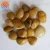 Import Factory Supply Natural Loose Rock Polished Pebbles Stone for landscaping from China