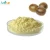 Import Factory Supply Pure Natural Powder Monk Fruit Extract from China