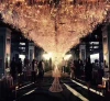 Fiber optic lighting  for wedding hall