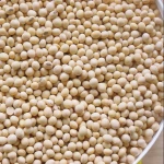 Food Soybean/ Soybean/ Soybeans Brazil