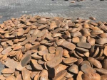 Foundry Pig Iron/Cast Iron on sale with the best price