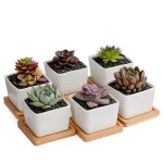 Free sample Flower Pot Ceramic Flower Pot Outdoor Square Large Modern Style Round Ceramic Flower Pot Planter