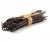 Import Free Sample madagascar vanilla beans with best price from China