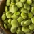 Import Fresh and frozen Broad Beans | Buy broad Beans in Bulk from Direct Supplier from Philippines