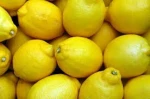 Fresh Citrus Fruit