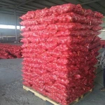 Buy Fresh Myanmar Fresh Onion Red Onion Price Per Ton For Exporting from  Shandong Sinofarm Food Co., Ltd., China