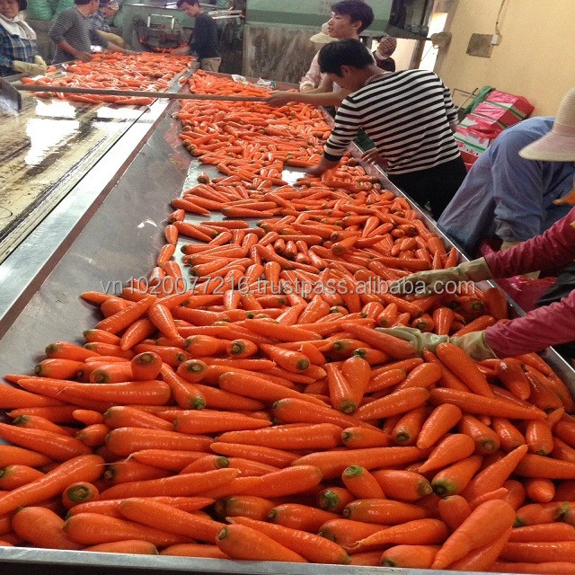 Fresh fruits and vegetables from Hoang Kim Viet Nam/ fresh carrots