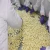 Import Fresh Natural Garlic, Fresh Peeled Garlic Preserved in Jar Packing from Germany