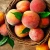 Import Fresh Peaches from USA