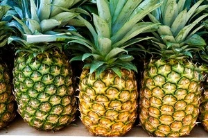 Fresh Pineapple South Africa high quality