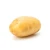 Import Fresh Premium Potato from India