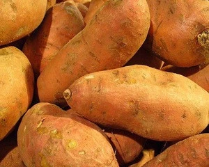 Fresh Sweet Potatoes from Vietnam