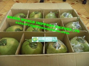 FRESH YOUNG GREEN COCONUT WITH BEST PRICE FROM VIETNAM!!