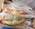 Import Frozen Fresh Live Green Lobster - Alive Bamboo Lobster, Frozen Whole Lobsters, Frozen Lobster Tails from Netherlands