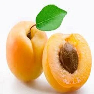 frozen style fresh apricot Cherry Fruit