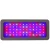 Import Full Spectrum 600W   led plant grow light for greenhouse indoor plants seed veg bloom from China