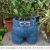 Import Garden ornamentssketch jeans pants flowerpot creative resin crafts from China