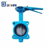 Gear Rubber Lined Butt-Clamp Butterfly Valve