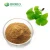 Import ginkgo biloba extract wholesale from China