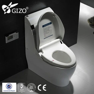 Gizo JJ-0801z Electric Power Supply Smart American Standard Bidets Toilets With Dual Nozzle