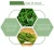 Import Good Quality Agricultural Plant Green Vegetable Seed Spinach Seeds from China