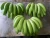Import Green Fresh Banana best quality Ripenend Banana in Delicoius taste. from India