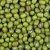 Import Green Moong Dal/Moong Dal/GMB/Grains! from India