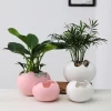 Green Succulent Plant Pot Egg Design Ceramic Flower Pot Planter Desktop Ornaments Home Decor Garden Pot