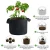 Import Greenhouse Wholesale High Quality Grow Bag Black Round Garden Fabric Pot Indoor Outdoor 7 Gallon Aeration Fabric Pot with handle from China