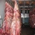 Import HALAL FROZEN LAMB, MUTTON, BEEF, VEAL ,GOAT, CAMEL, HORSE MEAT from USA