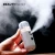 Import Handheld Nano Mist Sprayer Electric Automatic Alcohol Sprayer Beauty Skin Spray Machine from China