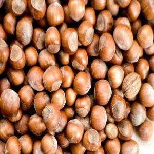 HazelNut suppliers Hazelnut kernels/Hazelnut in shell/ Organic