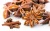 Import Herbs and spices/ Star anise from Vietnam