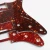 Import HH pickup route Strat Guitar Pickguards in tortoise and multi colors from China