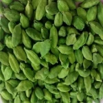High Grade AA Green/brown Cardamom spices /Dried cardamons herbs