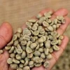 High Grade Robusta coffee beans