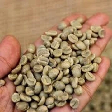 High Grade Robusta coffee beans