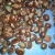 Import High quality bulk chestnut in china from China