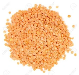 High Quality Bulk Dried Lentils Red Lentils Green Lentils with fast delivery